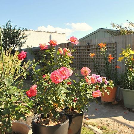 Cooma Cottage Buitenkant foto
